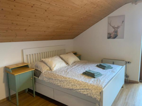 Apartment 62 Zwiesel